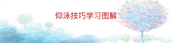 仰泳技巧学习图解