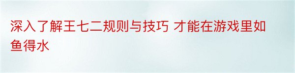 深入了解王七二规则与技巧 才能在游戏里如鱼得水