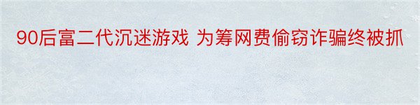 90后富二代沉迷游戏 为筹网费偷窃诈骗终被抓