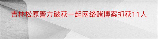 吉林松原警方破获一起网络赌博案抓获11人