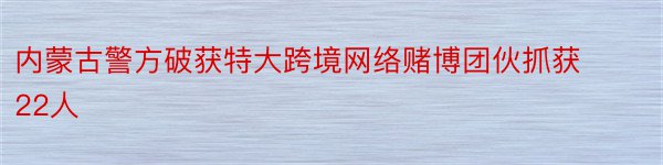 内蒙古警方破获特大跨境网络赌博团伙抓获22人