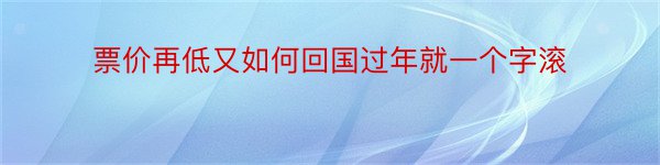 票价再低又如何回国过年就一个字滚