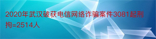 2020年武汉破获电信网络诈骗案件3081起刑拘=2514人