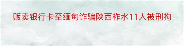 贩卖银行卡至缅甸诈骗陕西柞水11人被刑拘