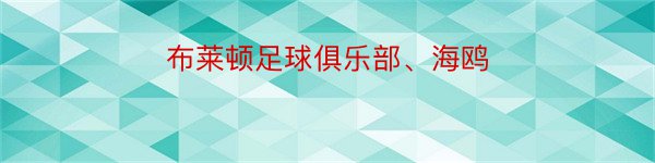 布莱顿足球俱乐部、海鸥