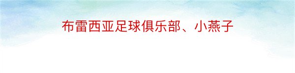 布雷西亚足球俱乐部、小燕子