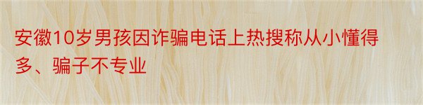 安徽10岁男孩因诈骗电话上热搜称从小懂得多、骗子不专业