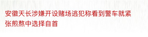 安徽天长涉嫌开设赌场逃犯称看到警车就紧张煎熬中选择自首