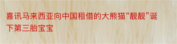 喜讯马来西亚向中国租借的大熊猫“靓靓”诞下第三胎宝宝